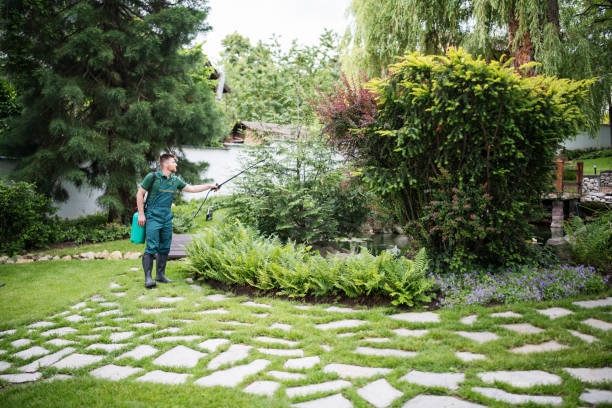 Best Ant Control Services  in Nassau Village Ratliff, FL