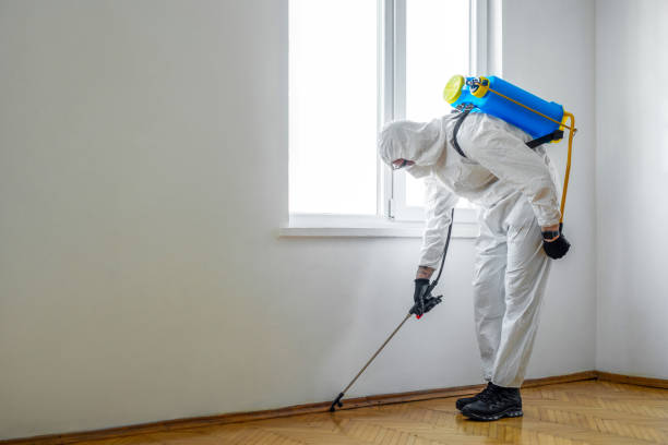 Best Pest Removal Services  in Nassau Village Ratliff, FL