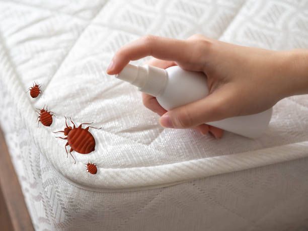 Best Insect Control  in Nassau Village Ratliff, FL